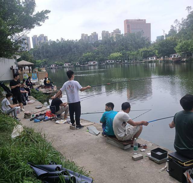 广东深圳垂钓的独特魅力与体验之旅